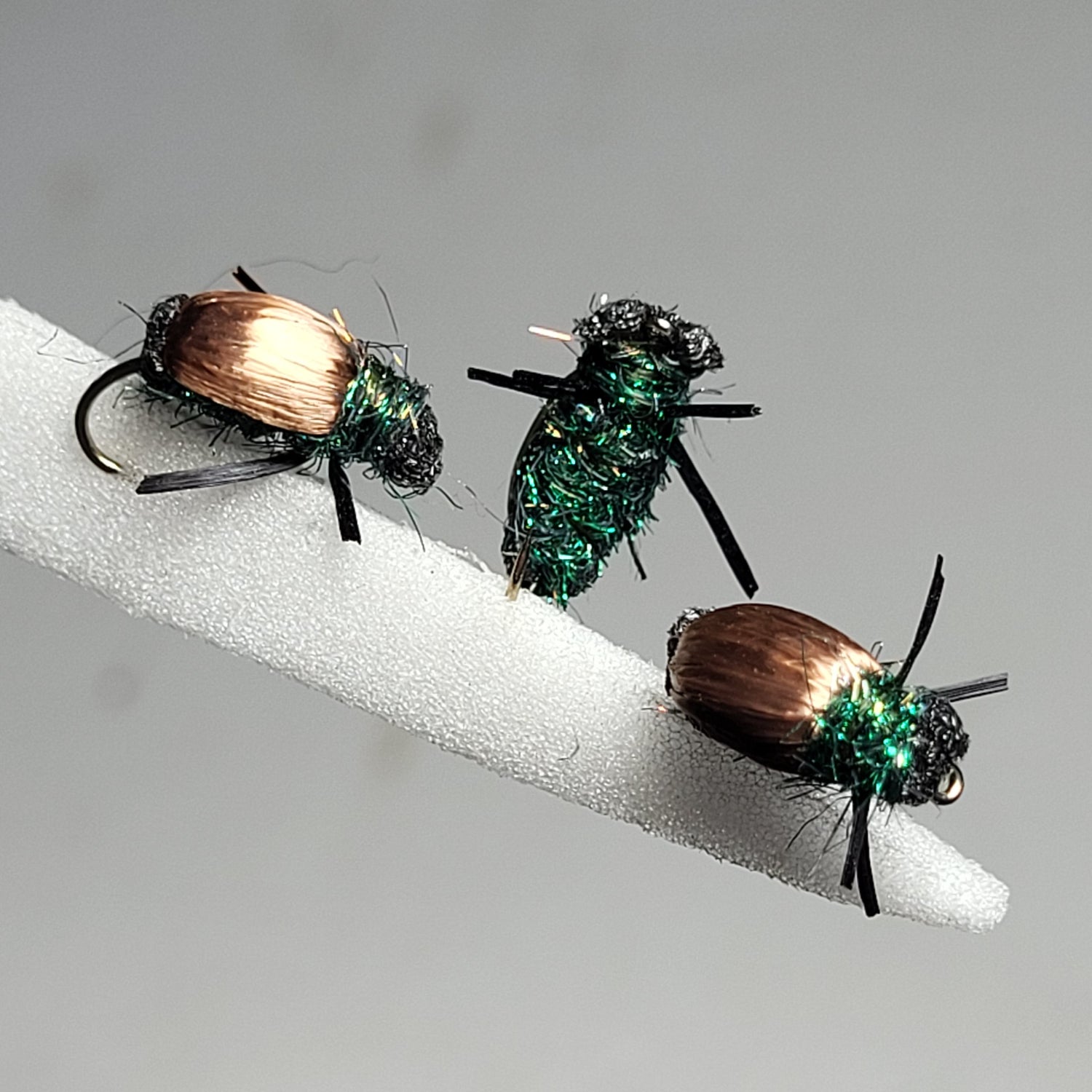 Coch Y Bonddu Floating Beetles