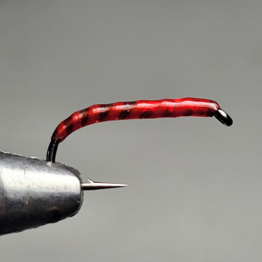 x3 Holographic Bloodworm
